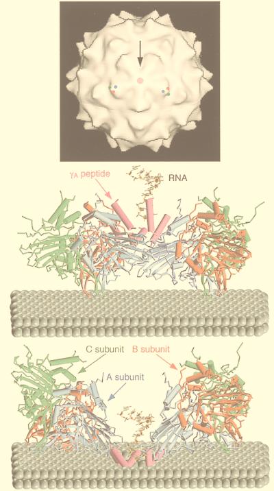 FIG. 28