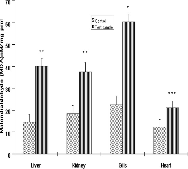 Figure 5: