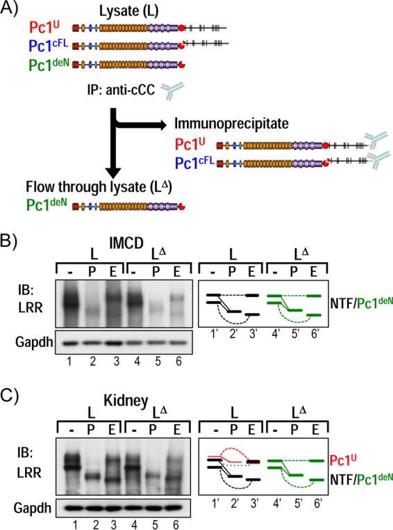 FIG 4