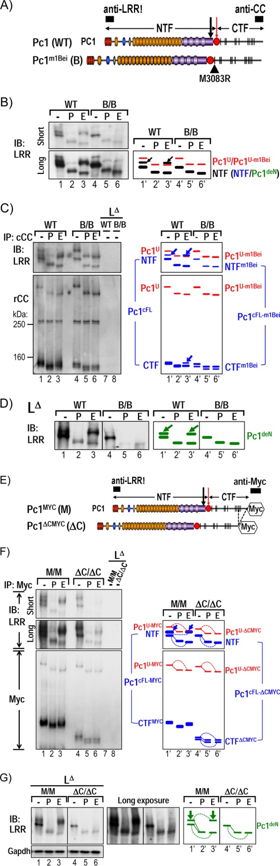 FIG 6