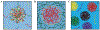 Figure 5: