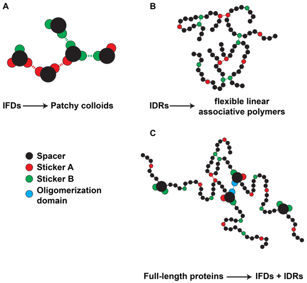 Figure 9: