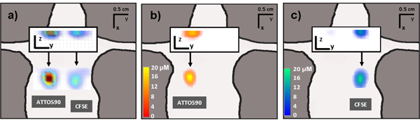 Fig. 5