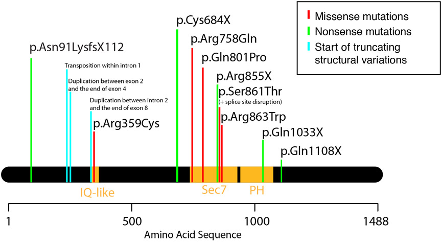 Figure 2: