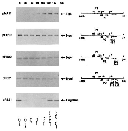 FIG. 5