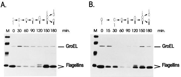 FIG. 8