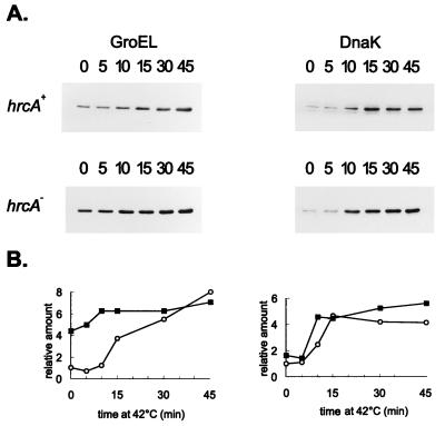 FIG. 6