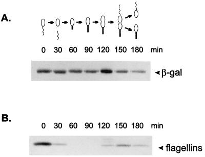 FIG. 9