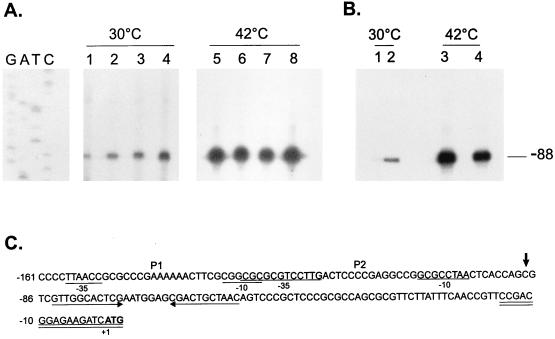 FIG. 10