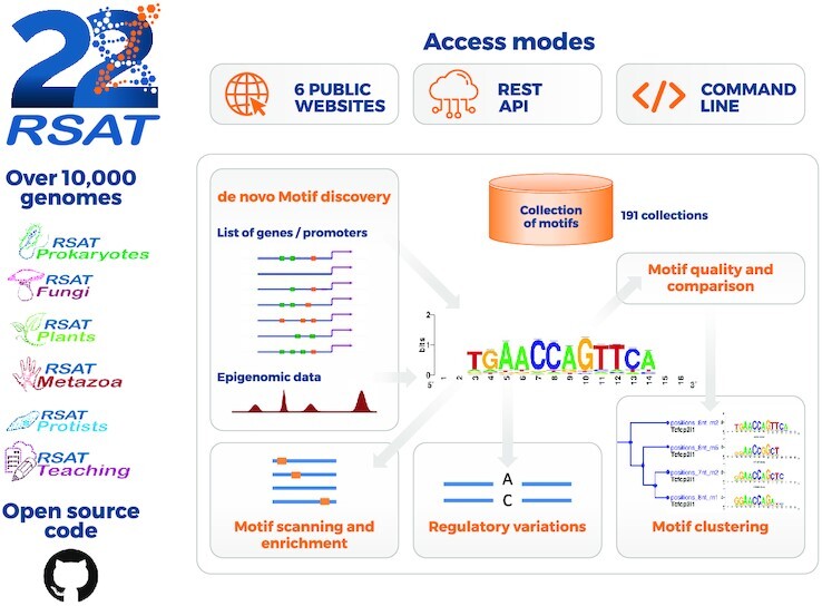 Graphical abstract