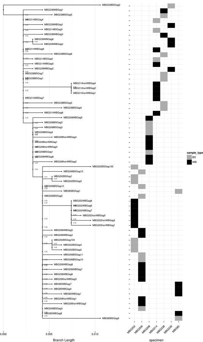 Fig 5