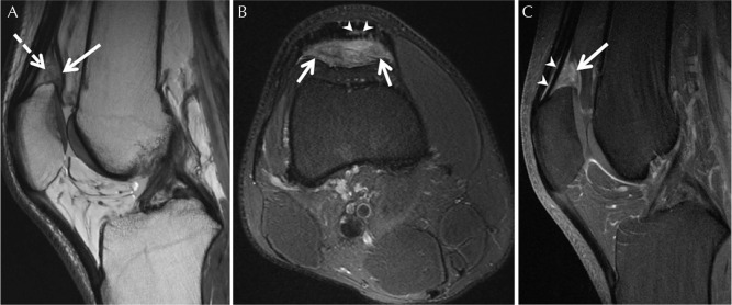 Fig. 9