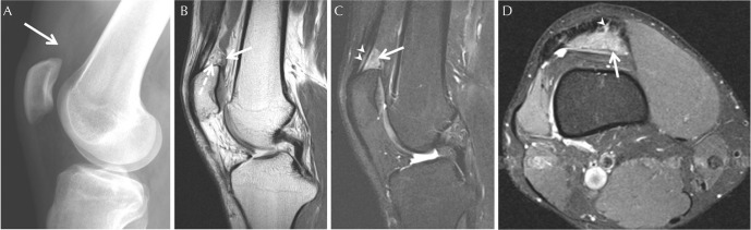 Fig. 8