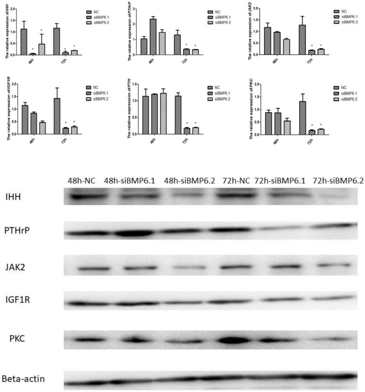 Fig 9