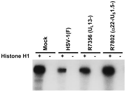 FIG. 8