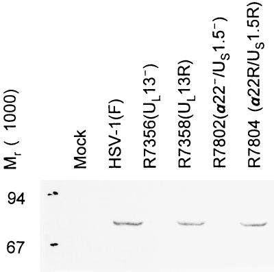 FIG. 7