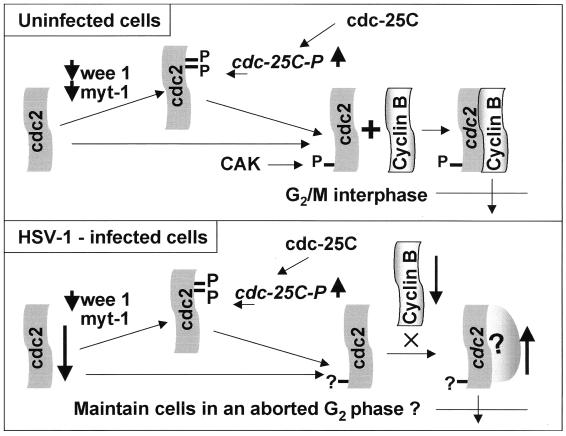 FIG. 10