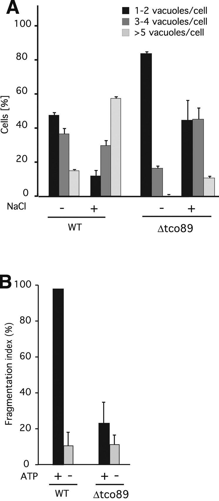 FIGURE 7: