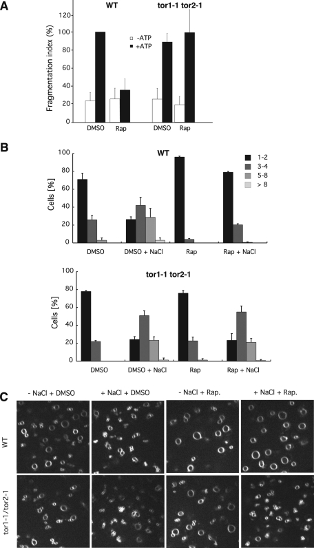 FIGURE 6: