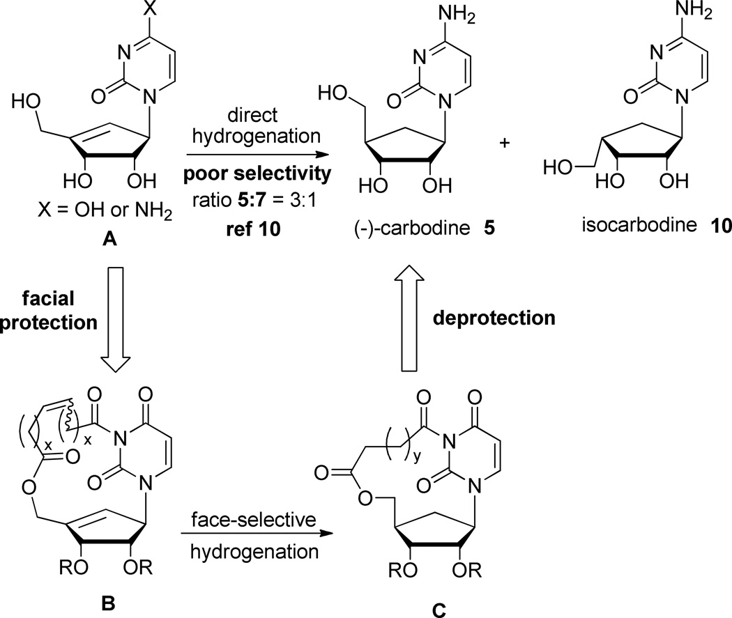 Scheme 2