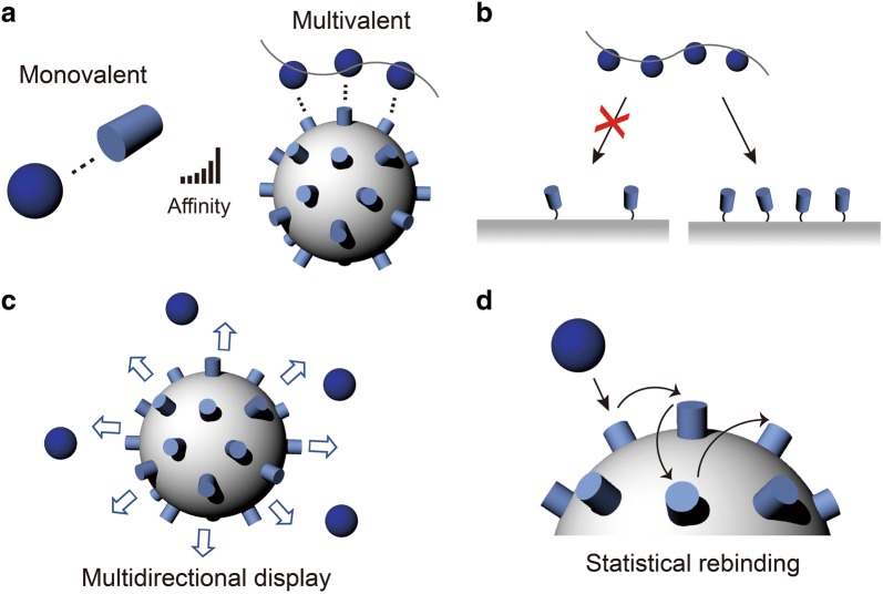 Fig. 2