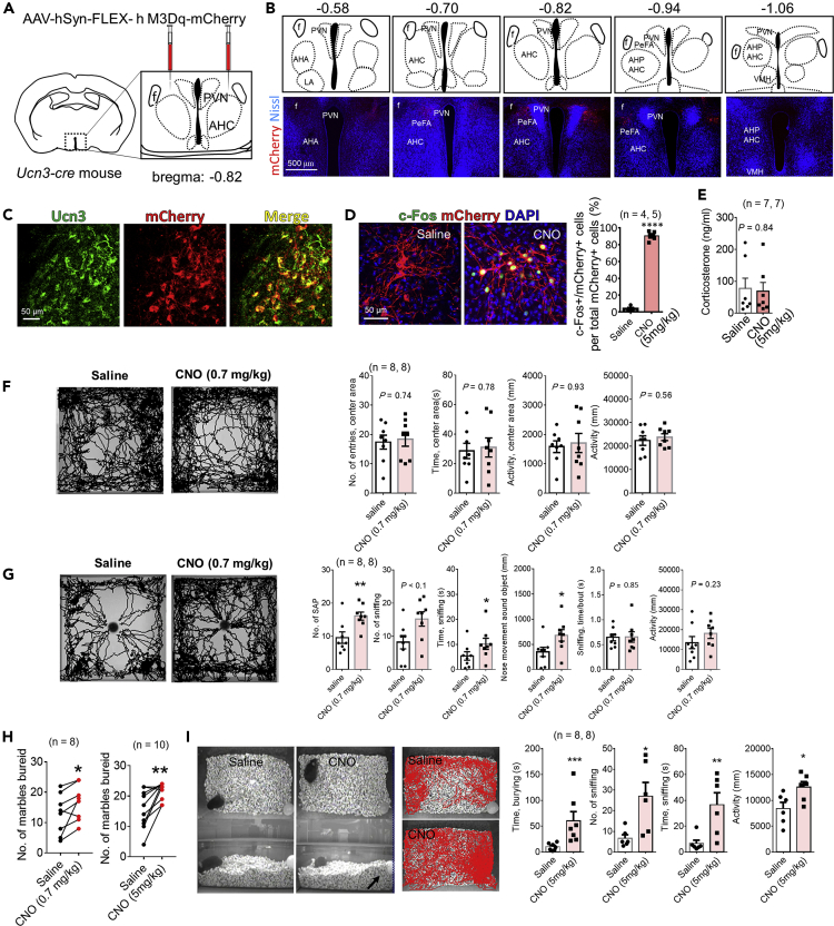 Figure 3