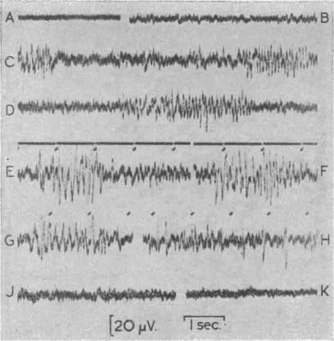 Fig. 18