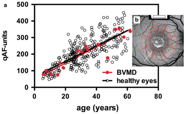 Fig. 38.2