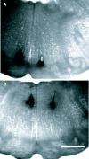 Figure 8.