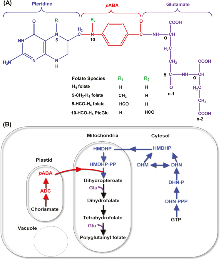 Fig. 1.