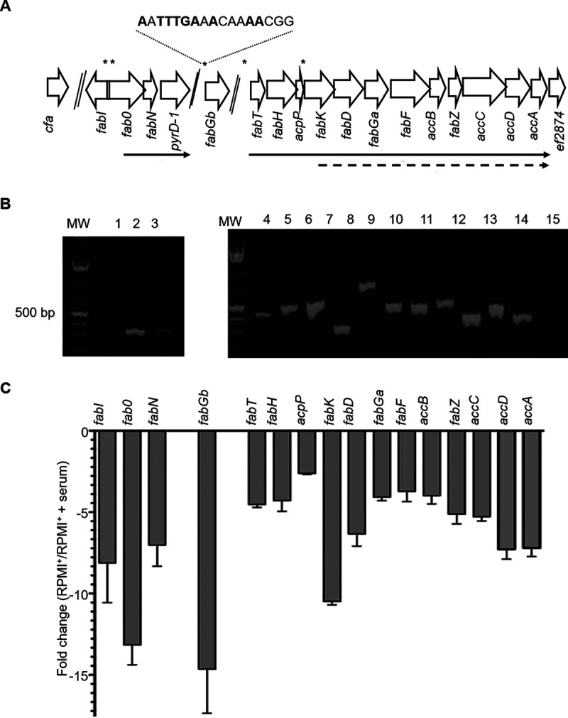 FIG 1