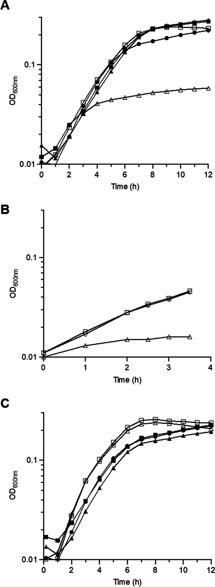 FIG 2