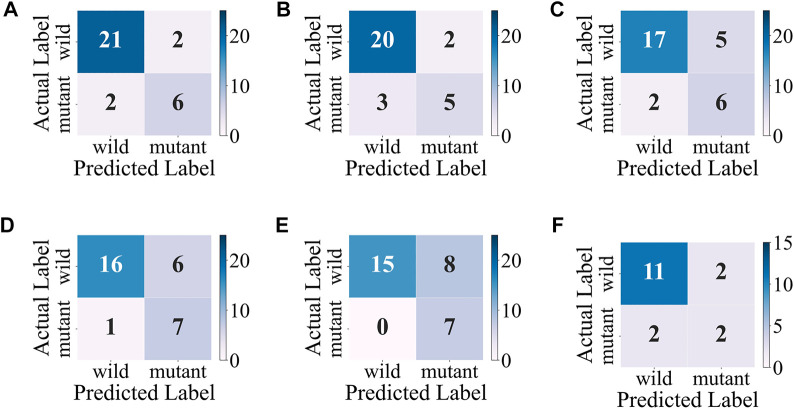 FIGURE 6