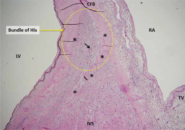 Figure 3: