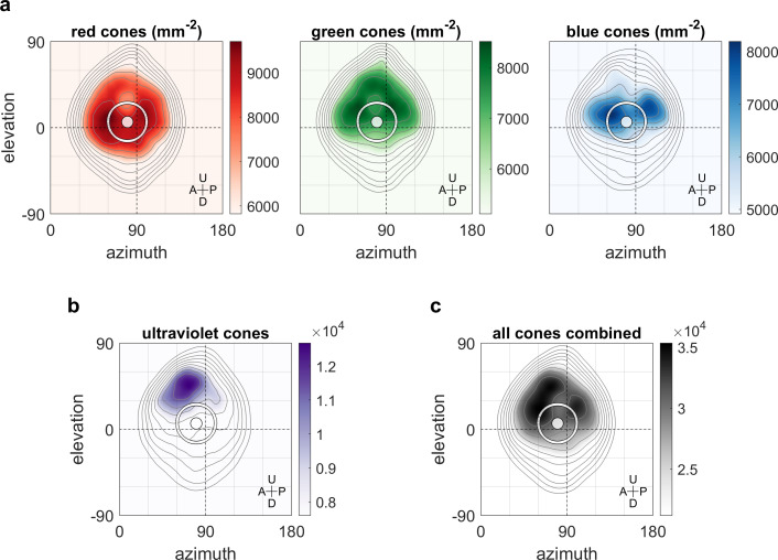 Figure 6.