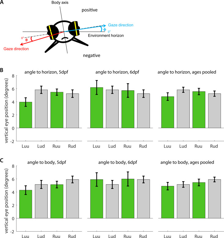 Figure 3—figure supplement 3.