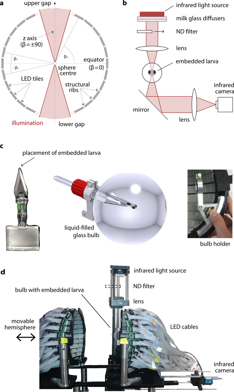 Figure 1—figure supplement 1.