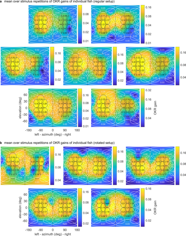 Figure 4—figure supplement 2.