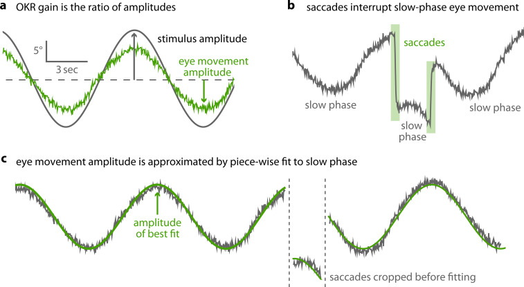 Figure 2—figure supplement 1.