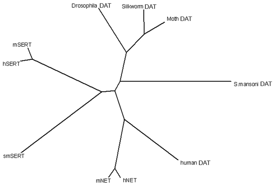 Fig. 5