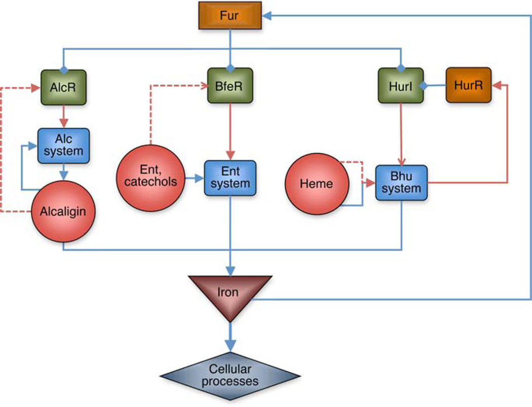 Fig. 2