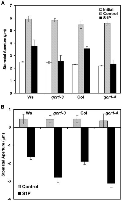 Figure 12.