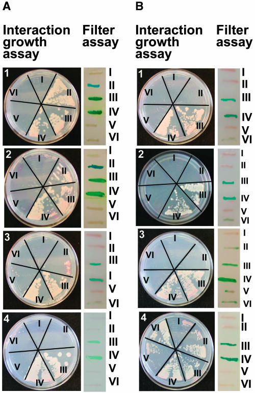 Figure 4.