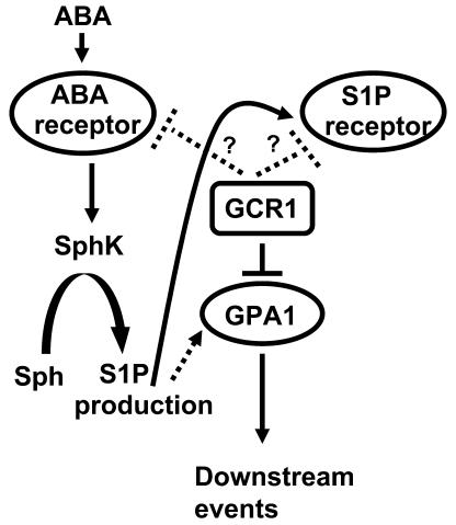 Figure 13.