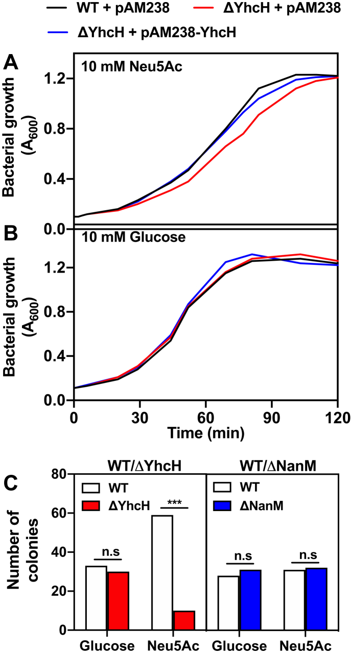 Figure 5