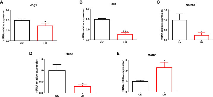 Figure 5