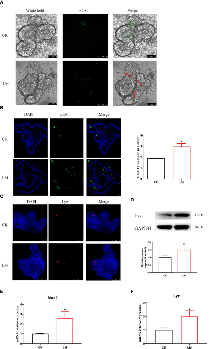 Figure 4