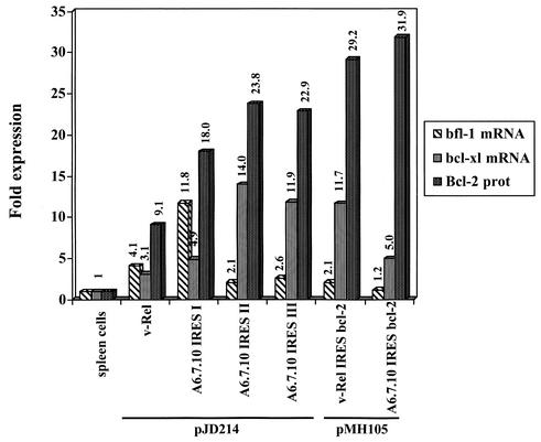 FIG. 7.