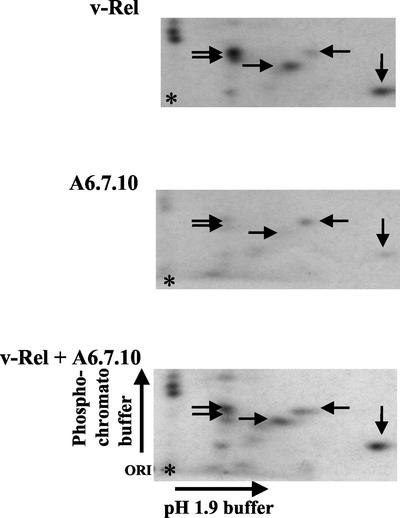 FIG. 4.