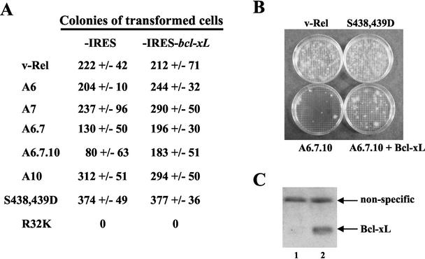 FIG. 5.